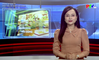 Tạp chí thông tin kinh tế - Thích ứng với nhiên liệu xanh Tạp chí thông tin kinh tế - Thích ứng với nhiên liệu xanh