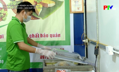 Công nghiệp và thương mại: Minh bạch nguồn gốc – Sản xuất bền vững