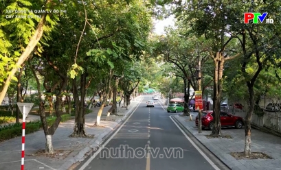 Xây dựng và quản lý đô thị - Cây xanh đô thị