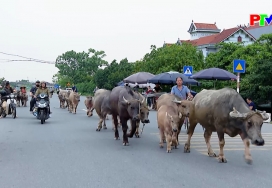 An toàn giao thông ngày 29-05-2026