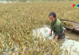 Bản tin 18h30 ngày 17-9-2024