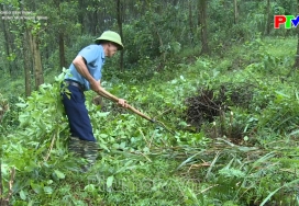 Bảo vệ rừng mùa nắng nóng