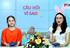 Câu hỏi vì sao - Vườn hoa Tân Phương