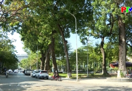 Con đường mang tên danh nhân - Đường Lý Bôn Con đường mang tên danh nhân - Đường Lý Bôn