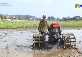 Đẩy mạnh sản xuất vụ mùa