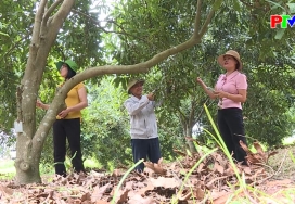 Đổi mới tư duy nông nghiệp