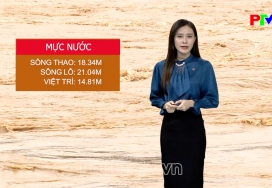 Dự báo thời tiết ngày 11-9-2024