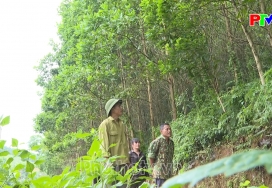 Giữ màu xanh nguyên thủy