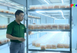 Khát vọng nông nghiệp công nghệ cao