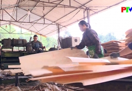 Kinh tế rừng mở hướng thoát nghèo