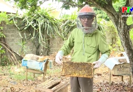 Nghề nuôi ong ở Thanh Sơn