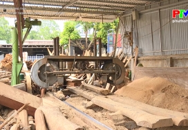 Nông thôn mới Phú Thọ - Tiêu chí thu nhập trong xây dựng NTM