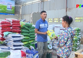 Phân bón vi sinh và chế phẩm vi sinh