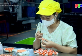 Pháp luật lao động - Điểm tựa bền vững