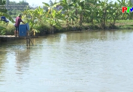 Phát triển nuôi trồng thủy sản ở Hạ Hòa