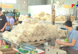 Phát triển sản phẩm công nghiệp nông thôn tỉnh Phú Thọ
