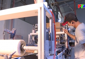 Phát triển sản phẩm công nghiệp nông thôn tỉnh Phú Thọ