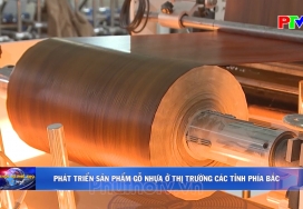 Phát triển sản phẩm gỗ nhựa ở thị trường các tỉnh phía Bắc
