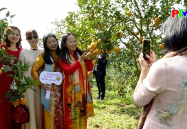 Phú Thọ ngày mới ngày 16-12-2025 Phú Thọ ngày mới ngày 16-12-2025