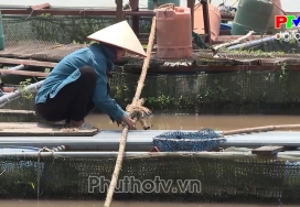 Phú Thọ ngày mới ngày 8-9-2024