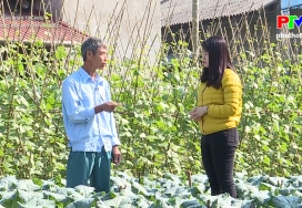Sản phẩm từ làng: Làng nghề rau an toàn Văn Phú