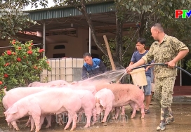 Tăng sinh kế hộ gia đình