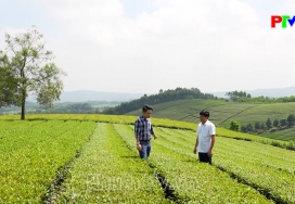 Thanh Thủy - Điểm hẹn du lịch