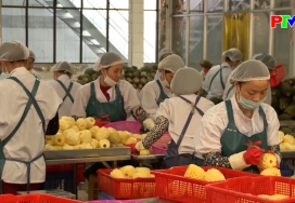 Thị trường tiêu dùng ngày 16-12-2025 Thị trường tiêu dùng ngày 16-12-2025