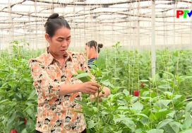 Thị trường tiêu dùng ngày 23-06-2026