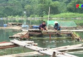 Thông tin kinh tế - Khơi dòng vốn nơi vùng cao
