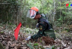 Truyền hình LLVT Quân khu 2 ngày 03-06-2026