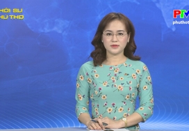 Chương trình thời sự ngày 24-11-2019