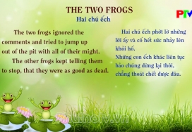 Vui học tiếng Anh - 2 chú ếch