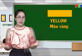 Vui học tiếng Anh - Màu sắc