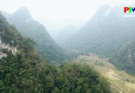 Vườn quốc gia Xuân Sơn quà tặng từ tạo hóa