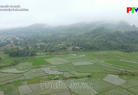 Phú Thọ - Đất và Người: Những chuyện ở bản Mường