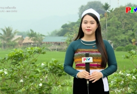 Phú Thọ điểm đến: Bản Lác - Mai Châu