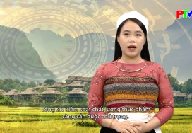 Tiếng Thái - Đảm bảo vệ sinh an toàn thực phẩm tại các bếp ăn trường học