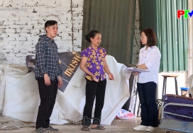 Hộp thư truyền hình ngày 31-05-2026