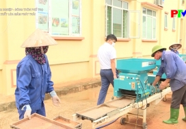 Nông nghiệp, nông thôn – Sản xuất lúa giảm phát thải