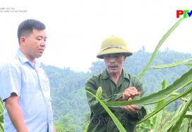 Nông nghiệp, nông thôn – Những khu vườn tạo giá trị kép