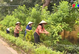 Xây dựng mô hình năm có ba sạch