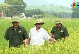 Xông pha thời chiến, cống hiến thời bình