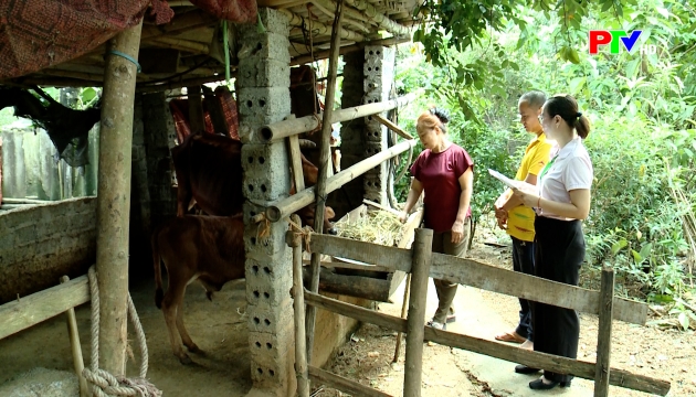 Điểm tựa của người dân miền núi