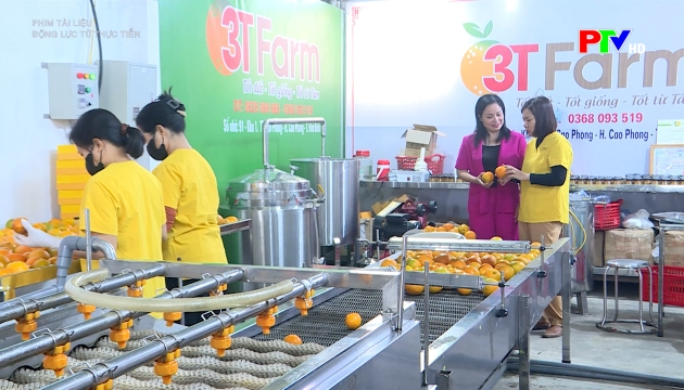 Động lực từ thực tiễn