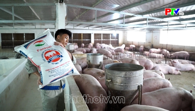 Thị trường tiêu dùng ngày 03-10-2026
