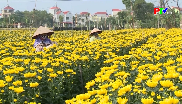 Thị trường tiêu dùng ngày 06-02-2026