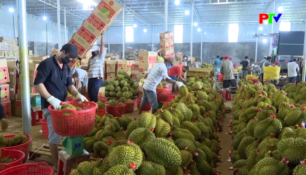 Thị trường tiêu dùng ngày 06-05-2026