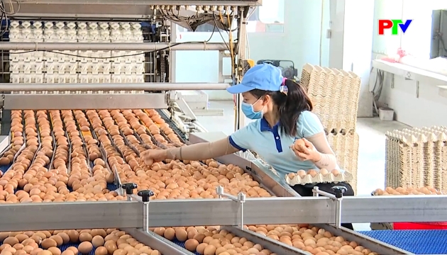 Thị trường tiêu dùng ngày 1-4-2026