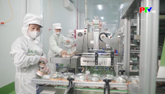 Thị trường tiêu dùng ngày 16-09-2026